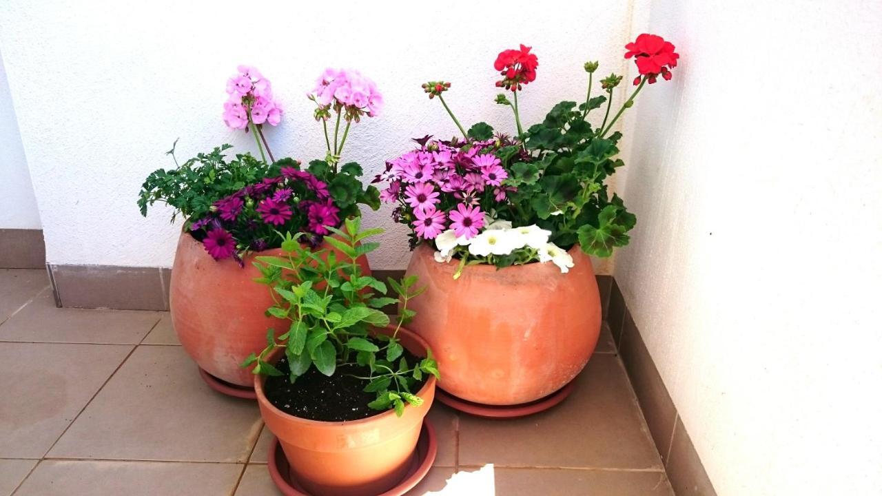 Apartamento De Dos Dormitorios Junto A Mojacar Playa غاروشا المظهر الخارجي الصورة